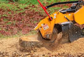 Best Tree Mulching  in Lindon, UT
